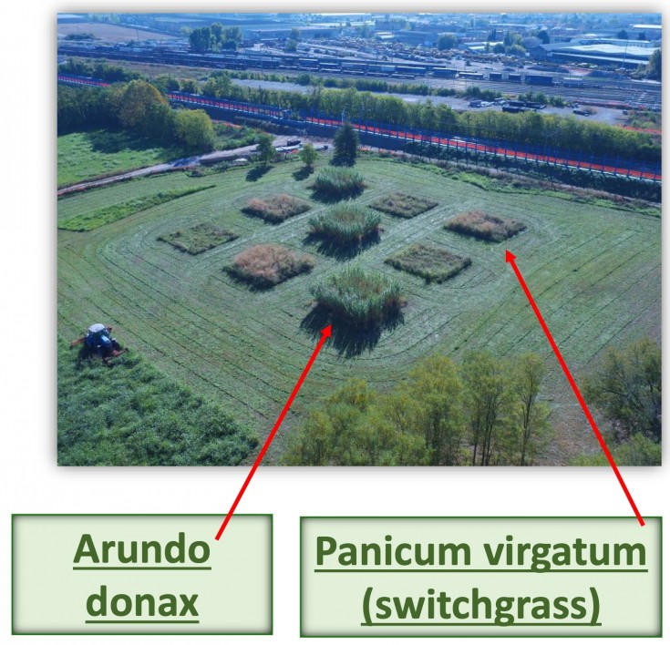 2021 04 29 13 08 47 ERSAF A.jpg IrfanView